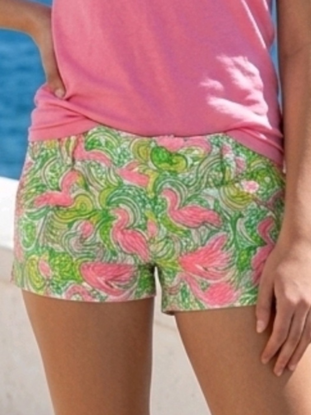 Lilly Pulitzer Callahan Shorts Womens 0 Pink Flamingo Green Paisley Cotton